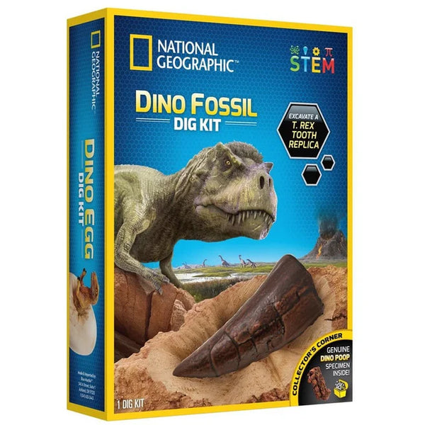 National Geographic Dino Fossil Dig Kit in White