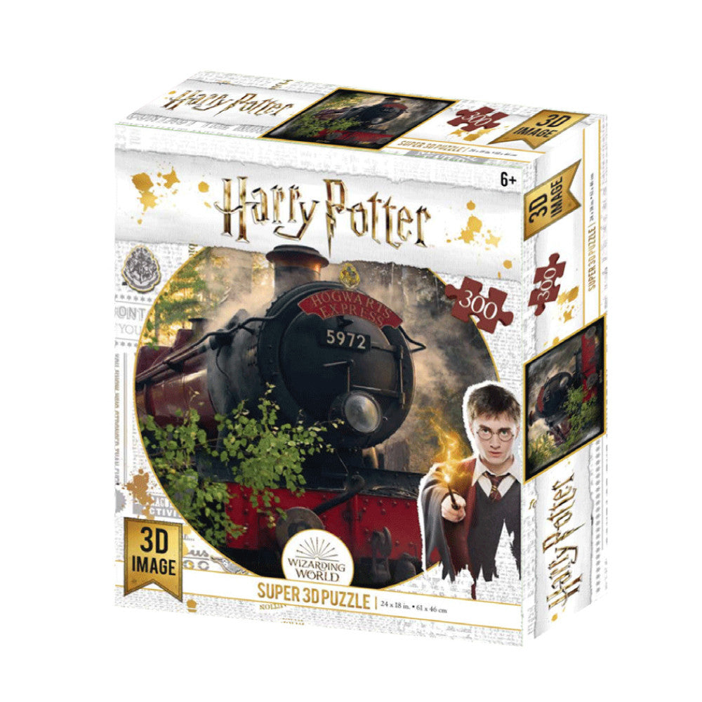 Harry Potter 3D Puzzle 300pc - Harry Potter - Toys101