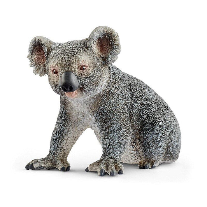 Schleich Koala (Red Dot) - Schleich - Toys101