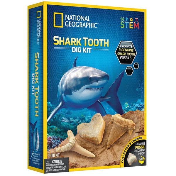 National Geographic Shark Tooth Dig Kit