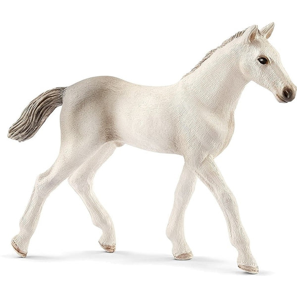 Schleich Hoistener Foal - Schleich - Toys101